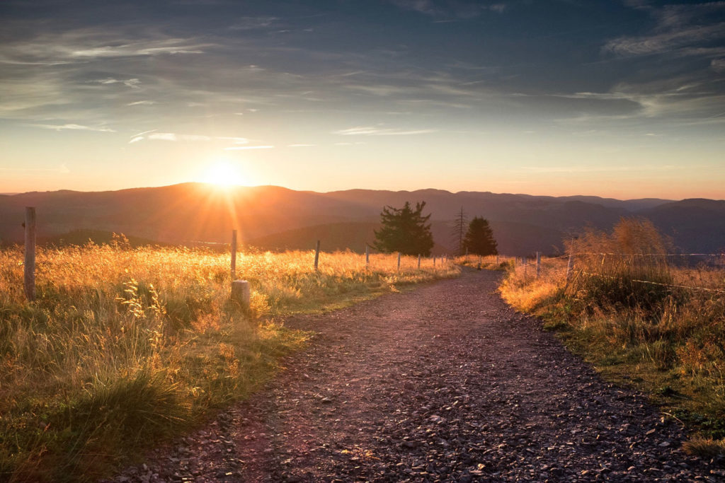 Mde 2020 Madre Kalpa dventure bikepacking sunset gravel road