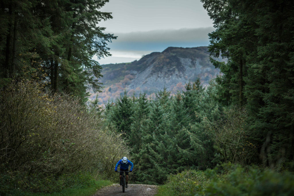 Mde 2020 Madre Mangata mountain bikepacking forest road