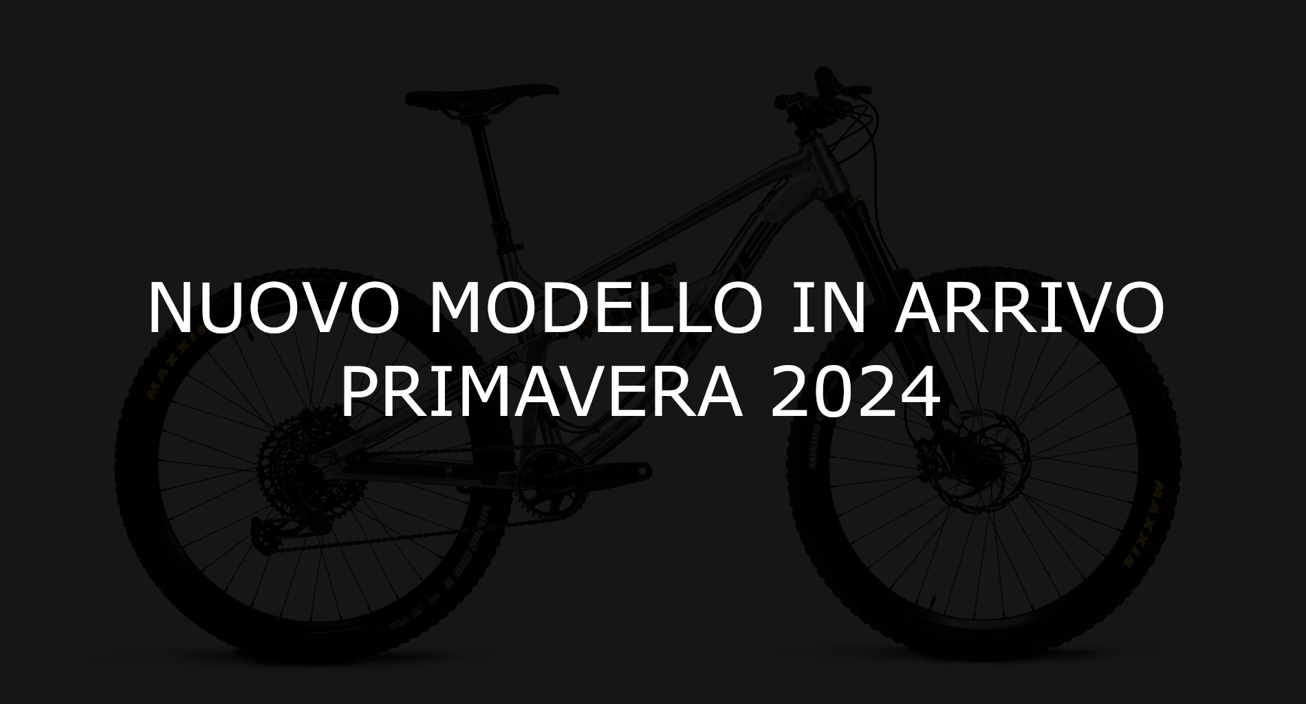 NUOVO-DAMPER-2024